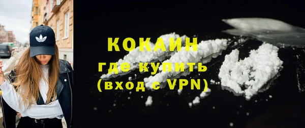 шишки Вяземский