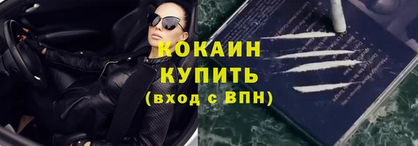 шишки Вяземский