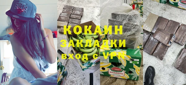шишки Вяземский