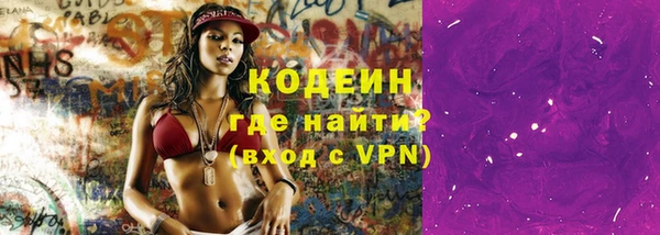 шишки Вяземский